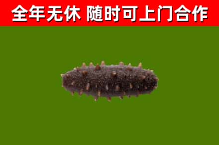 源城区烟酒回收干海参.jpg